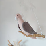 Pink Albin Cockatoo parrot on its branch