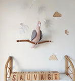 Pink Albin Cockatoo parrot on its branch