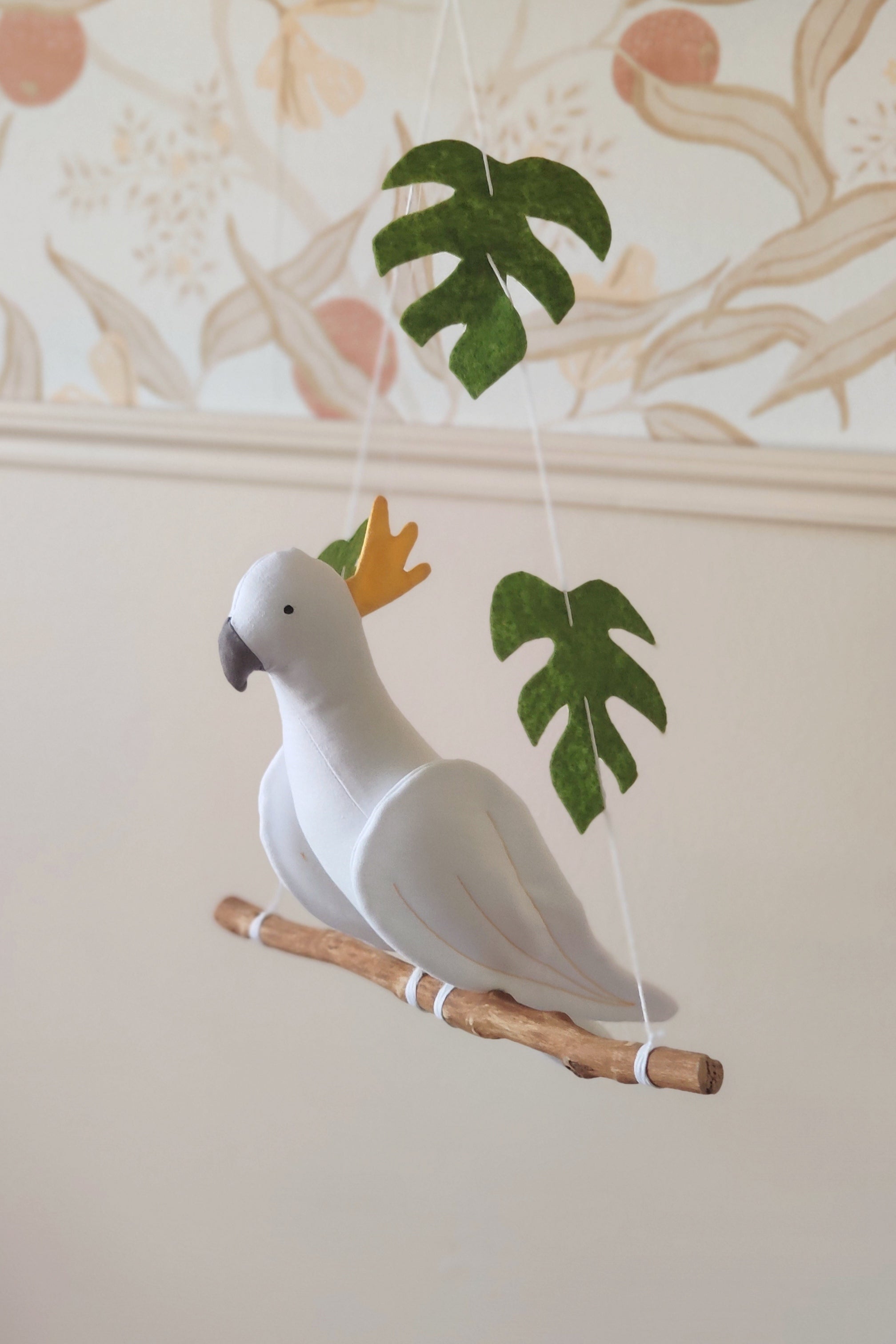 Crested Cockatoo parrot on its branch