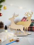 🖌️Activité Créative- Kit pour décorer 2 rennes