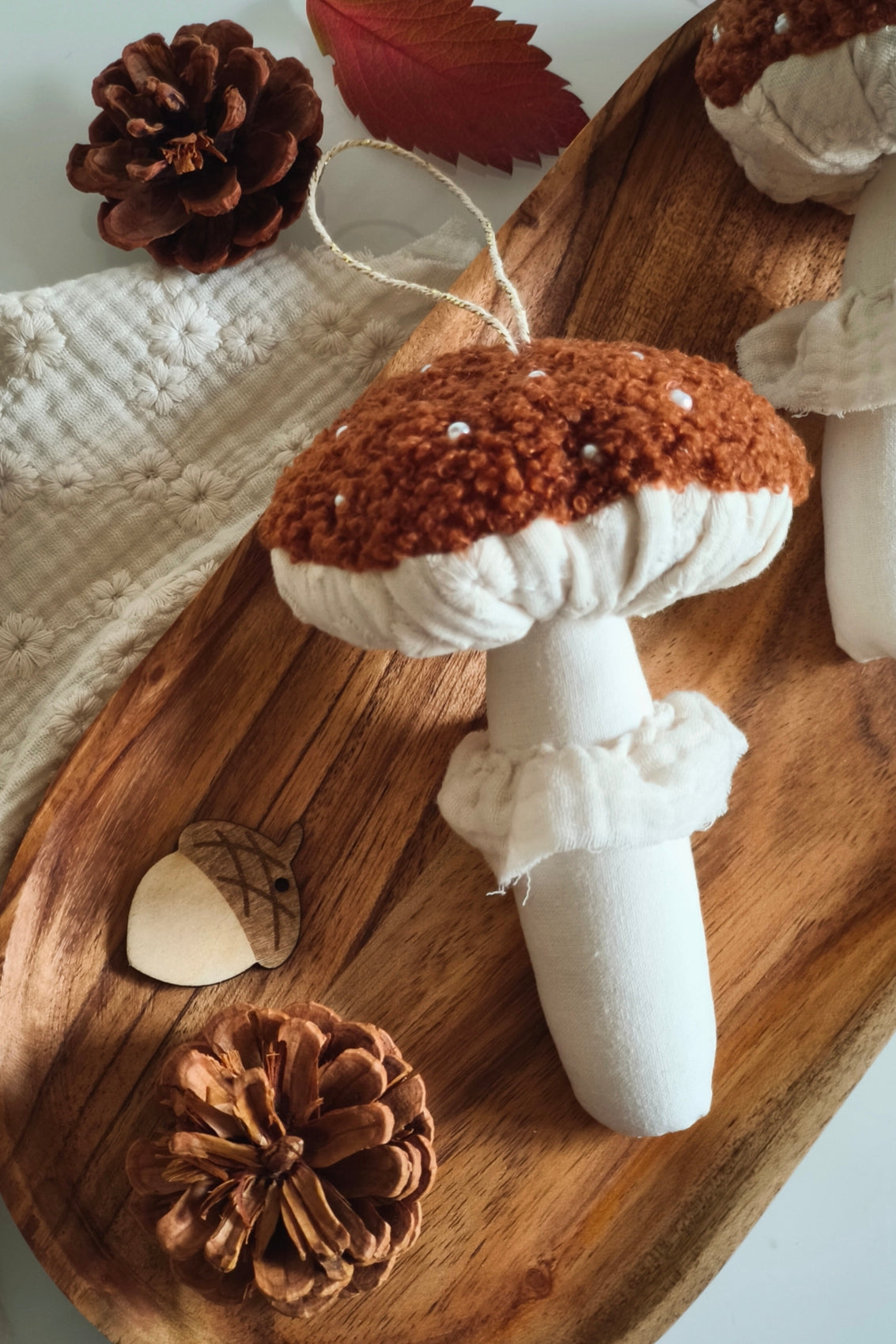 Champignon marron