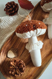 Champignon marron
