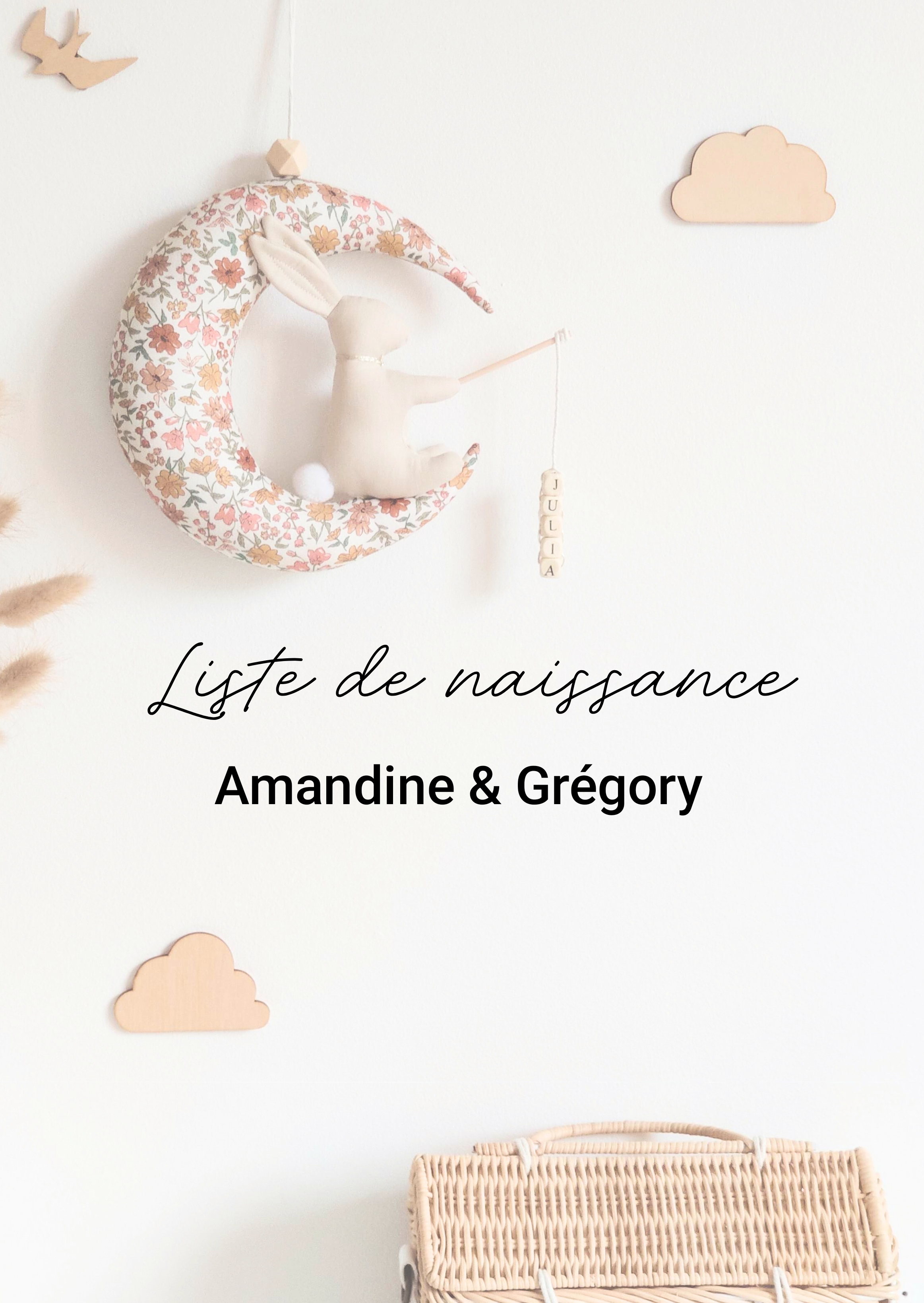 LISTE DE NAISSANCE Amandine & Gregory - Lapin sur sa lune