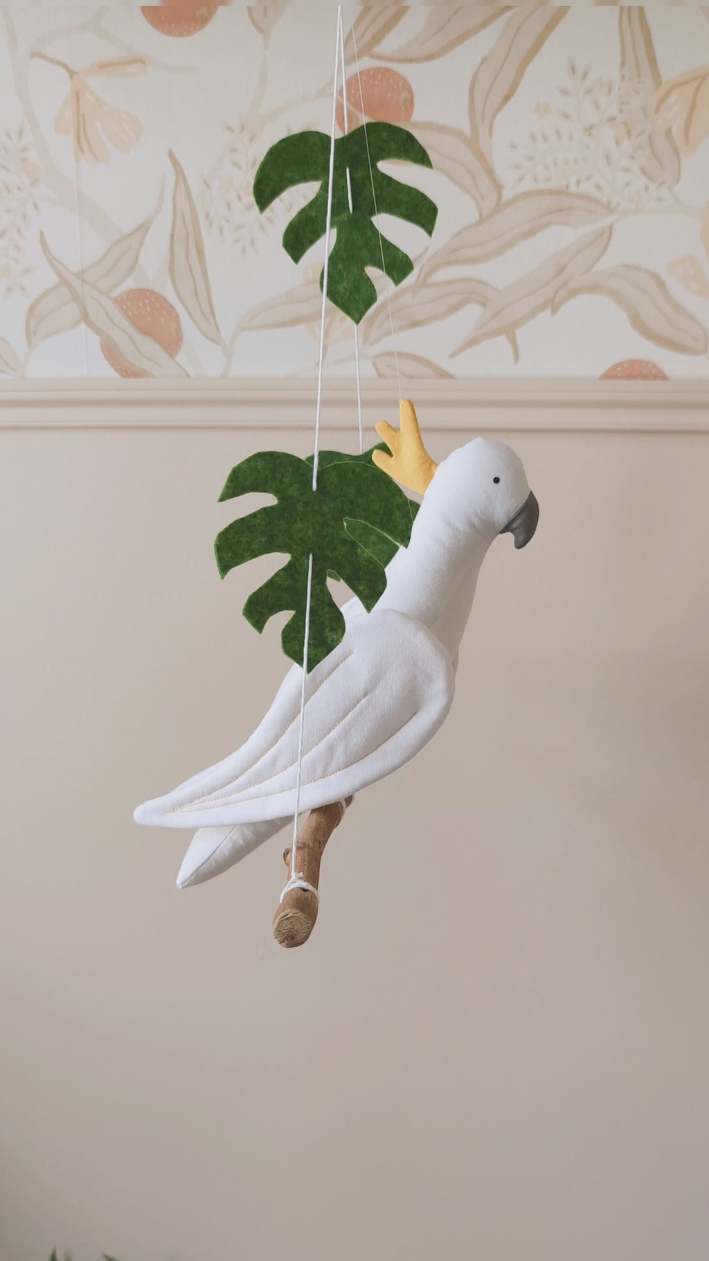 Crested Cockatoo parrot on its branch
