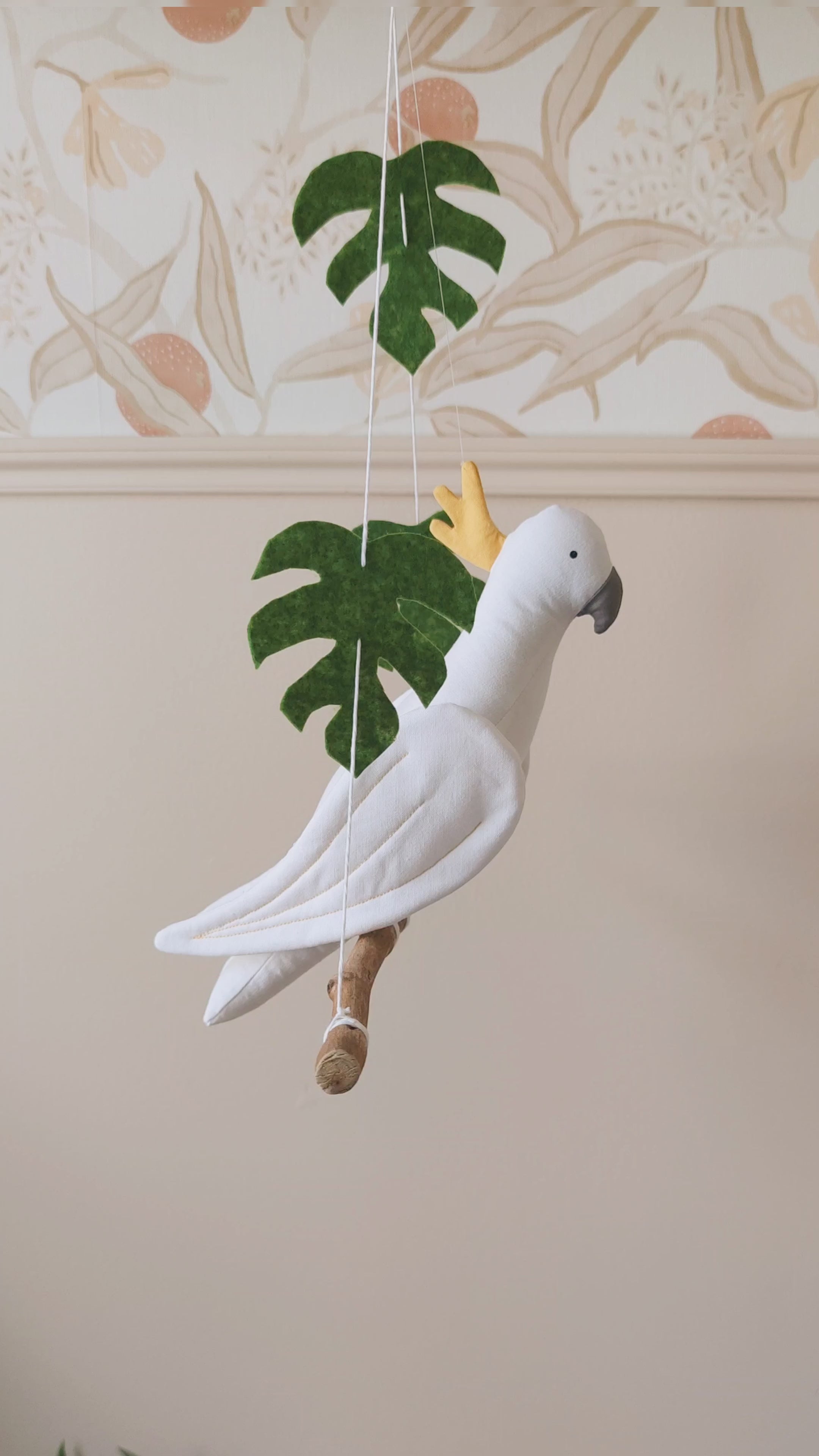 Crested Cockatoo parrot on its branch