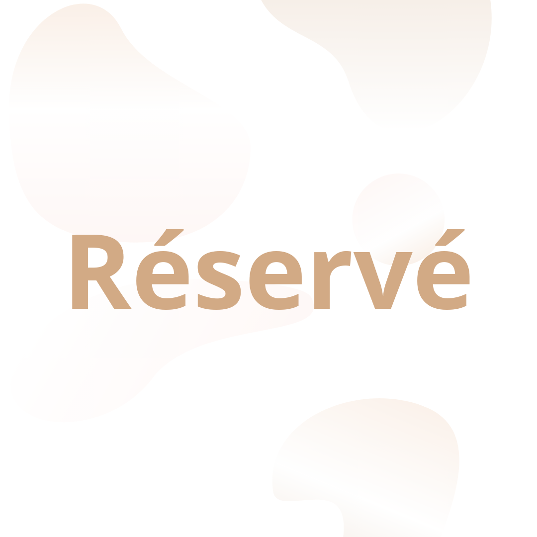 RÉSERVÉ MANUELA - Nounours & ballons