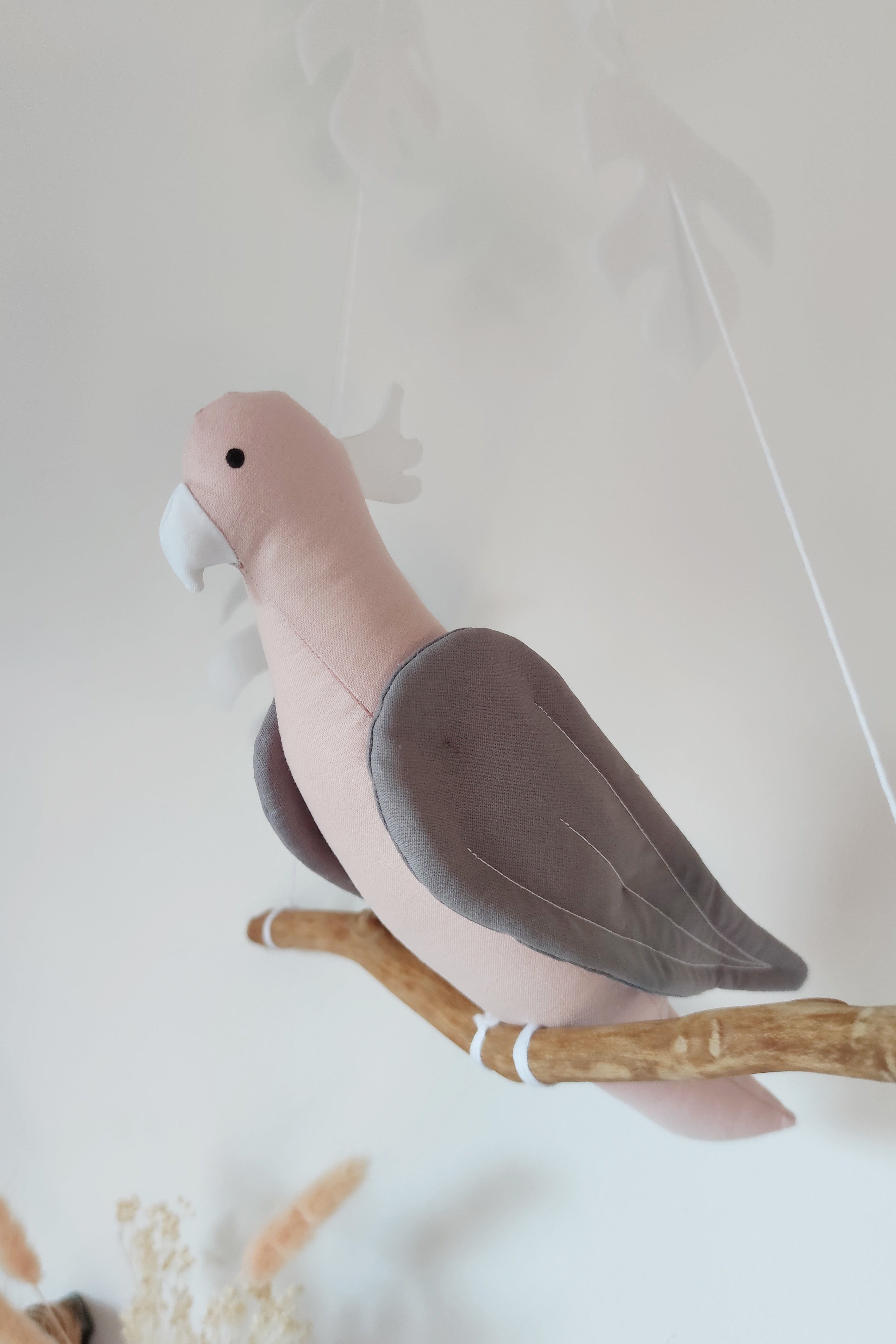 Pink Albin Cockatoo parrot on its branch