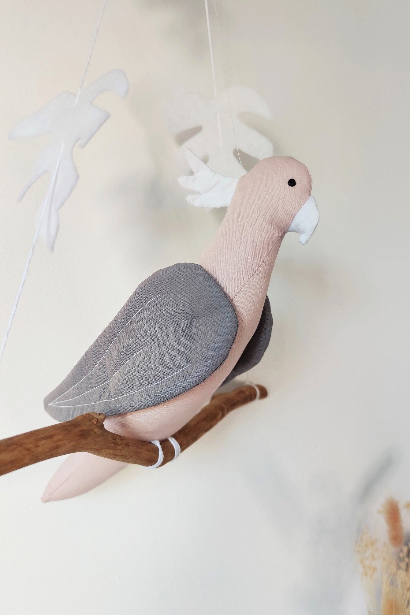 Pink Albin Cockatoo parrot on its branch