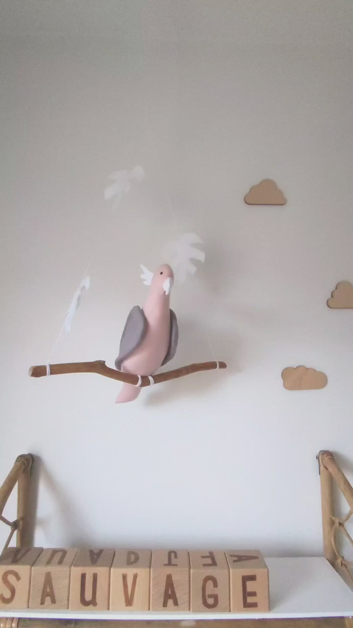 Pink Albin Cockatoo parrot on its branch